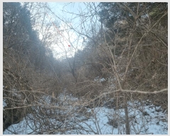  2025Ÿ70927     148-4      (Ӿ)