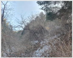  2025Ÿ70927     148-4      (Ӿ)