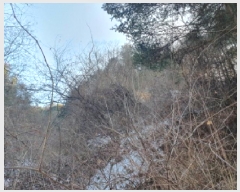  2025Ÿ70927     148-4      (Ӿ)