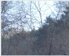  2025Ÿ70927     148-4      (Ӿ)