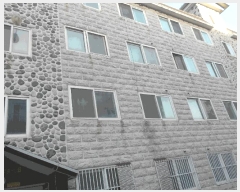  2025Ÿ��71316  �ټ���(����)���