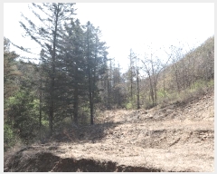  2025Ÿ��71442 ��� ���� ���Ǹ� â�Ǹ� ��38-9      ����(�Ӿ�)���