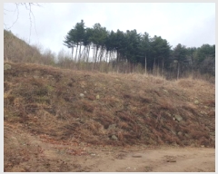  2025Ÿ��71442 ��� ���� ���Ǹ� â�Ǹ� ��38-9      ����(�Ӿ�)���