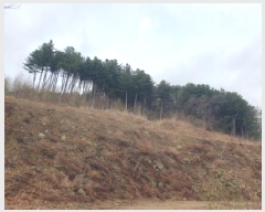  2025Ÿ��71442 ��� ���� ���Ǹ� â�Ǹ� ��38-9      ����(�Ӿ�)���