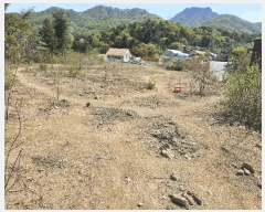  2025Ÿ71494  ֽ  渮 39-17      (Ӿ)