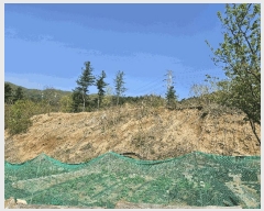  2025Ÿ71494  ֽ  渮 39-17      (Ӿ)