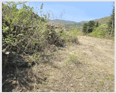  2025Ÿ71494  ֽ  渮 39-17      (Ӿ)