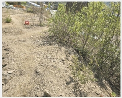  2025Ÿ71494  ֽ  渮 39-17      (Ӿ)