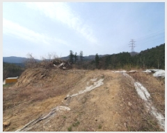  2025Ÿ71494  ֽ  渮 39-17      (Ӿ)