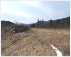  2025Ÿ71494  ֽ  渮 39-17      (Ӿ)