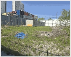  2025Ÿ��71594 ��� �����ֽ� ������ 823-5       ����(����)���