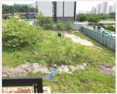  2025Ÿ��71594 ��� �����ֽ� ������ 823-5       ����(����)���