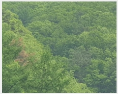  2025Ÿ��71616 ��� ���� û��� û�� ��6-17      ����(�Ӿ�)���