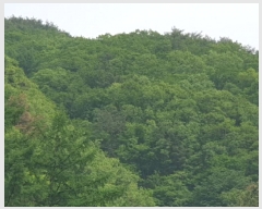  2025Ÿ��71616 ��� ���� û��� û�� ��6-17      ����(�Ӿ�)���