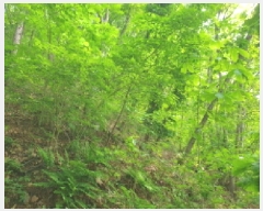  2025Ÿ��71616 ��� ���� û��� û�� ��6-17      ����(�Ӿ�)���