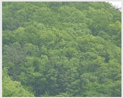  2025Ÿ��71616 ��� ���� û��� û�� ��6-17      ����(�Ӿ�)���