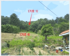  2025Ÿ��71698 ��� ���� ������ ������ ��113-1      ����(�Ӿ�)���