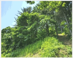  2025Ÿ��71698 ��� ���� ������ ������ ��113-1      ����(�Ӿ�)���