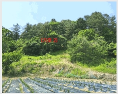  2025Ÿ��71698 ��� ���� ������ ������ ��113-1      ����(�Ӿ�)���