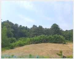  2025Ÿ��71698 ��� ���� ������ ������ ��113-1      ����(�Ӿ�)���