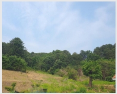  2025Ÿ��71698 ��� ���� ������ ������ ��113-1      ����(�Ӿ�)���