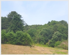  2025Ÿ��71698 ��� ���� ������ ������ ��113-1      ����(�Ӿ�)���