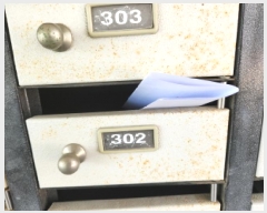  2025Ÿ��71801  �ټ���(����)���