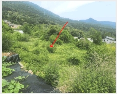  2025Ÿ��71813 ��� ���� ���Ǹ� ��渮 668-8      ����(����)���