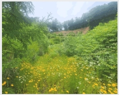  2025Ÿ��71813 ��� ���� ���Ǹ� ��渮 668-8      ����(����)���