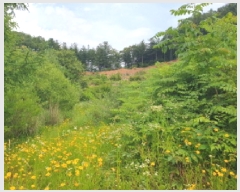  2025Ÿ��71813 ��� ���� ���Ǹ� ��渮 668-8      ����(����)���