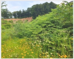  2025Ÿ��71813 ��� ���� ���Ǹ� ��渮 668-8      ����(����)���