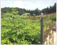  2025Ÿ��71813 ��� ���� ���Ǹ� ��渮 668-8      ����(����)���