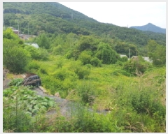  2025Ÿ��71813 ��� ���� ���Ǹ� ��渮 668-8      ����(����)���