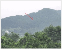  2025Ÿ��71872 ��� ���� ��� ������ ��63-127      ����(�Ӿ�)���