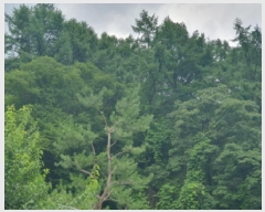  2025Ÿ��71872 ��� ���� ��� ������ ��63-127      ����(�Ӿ�)���