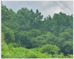  2025Ÿ��71872 ��� ���� ��� ������ ��63-127      ����(�Ӿ�)���