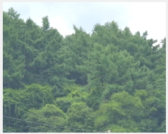  2025Ÿ��71872 ��� ���� ��� ������ ��63-127      ����(�Ӿ�)���