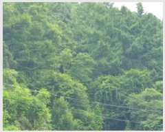  2025Ÿ��71872 ��� ���� ��� ������ ��63-127      ����(�Ӿ�)���