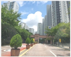  2025Ÿ��71978  ����Ʈ���