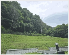  2025Ÿ��72129 ��� ���� �ϸ� �񵿸� 32      ����(��1)���