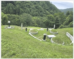  2025Ÿ��72129 ��� ���� �ϸ� �񵿸� 32      ����(��1)���