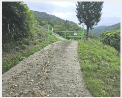  2025Ÿ��72129 ��� ���� �ϸ� �񵿸� 32      ����(��1)���