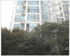  2025Ÿ��72337 ��� �����ֽ� ȣ�� 723 ȣ���ӱ��״밡 107�� 3��304ȣ    ����Ʈ���