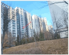  2025Ÿ��72829 ��� �����ֽ� ������ 1056 �����ŵ��ýֿ뿹�� 3701�� 7��702ȣ    ����Ʈ���