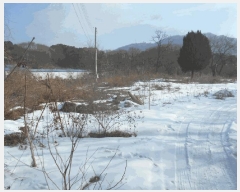  2025Ÿ��249 ��� �����ֽ� ȭ���� ������ 200-1      ����(�������)���