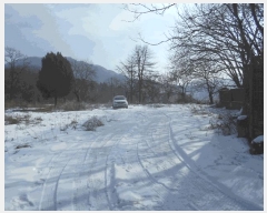  2025Ÿ��249 ��� �����ֽ� ȭ���� ������ 200-1      ����(�������)���