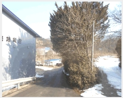  2025Ÿ��249 ��� �����ֽ� ȭ���� ������ 200-1      ����(�������)���