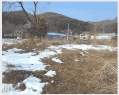  2025Ÿ��249 ��� �����ֽ� ȭ���� ������ 200-1      ����(�������)���