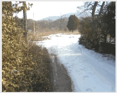  2025Ÿ��249 ��� �����ֽ� ȭ���� ������ 200-1      ����(�������)���