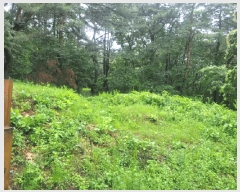  2025Ÿ��485 ��� �����ֽ� ������ �Լ��� 159-43      ���ð��